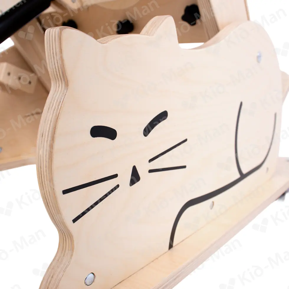 CAT I