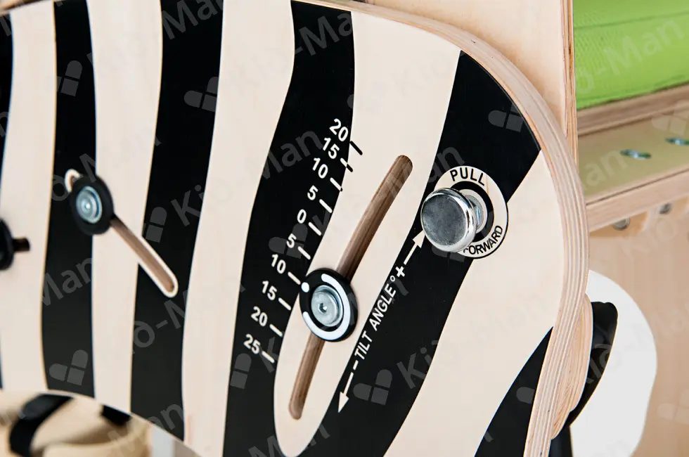 ZEBRA INVENTO