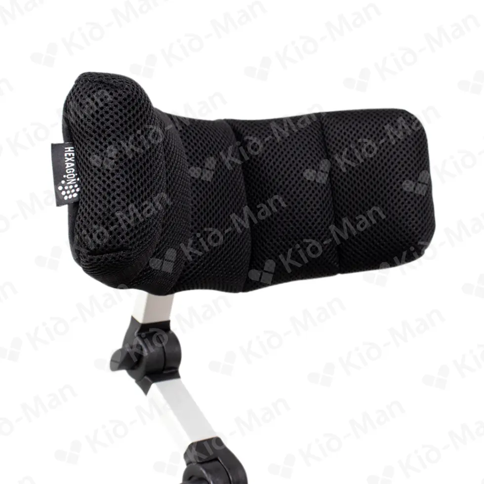 DALMATIAN INVENTO